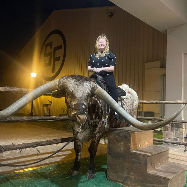 live Longhorn photos available for event planning in the DFW metroplex