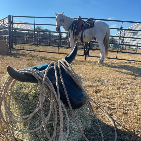 trick roping entertainers available to book through Total Events DFW